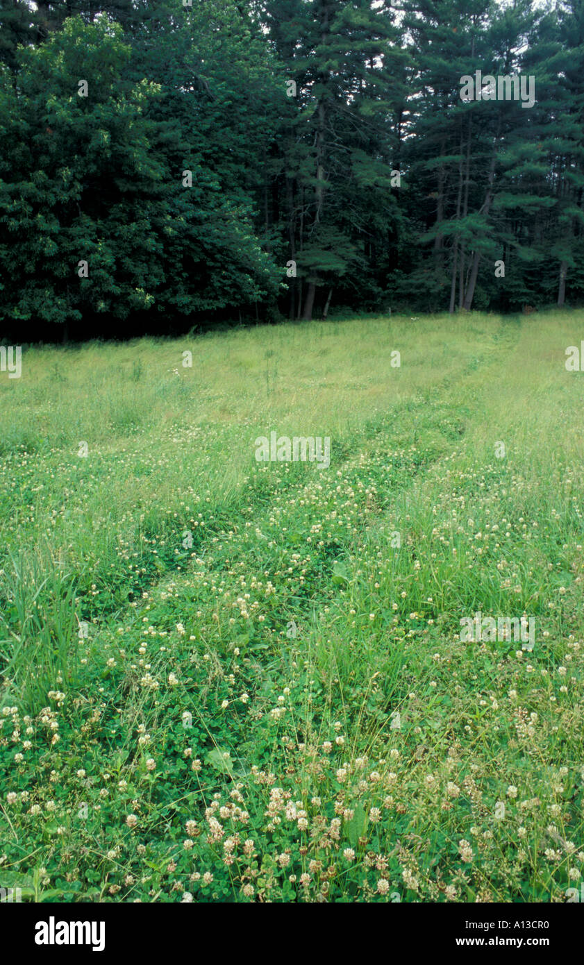 Hampton NH A seldom used road in a field at the Hurd Farm in Hampton NH