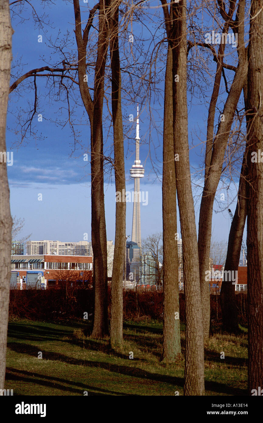 CN Tower seen through trees in Toronto Stock Photo - Alamy