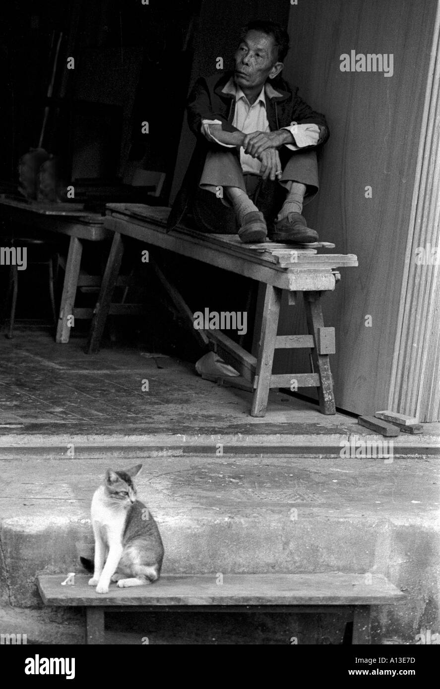 Man and moggie Hong Kong Stock Photo