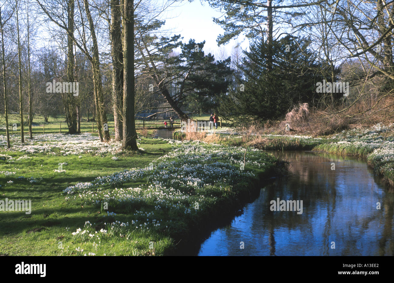 RIVER AND SNOWDROP WALK, WALSINGHAM ABBEY, NORTH NORFOLK EAST ANGLIA