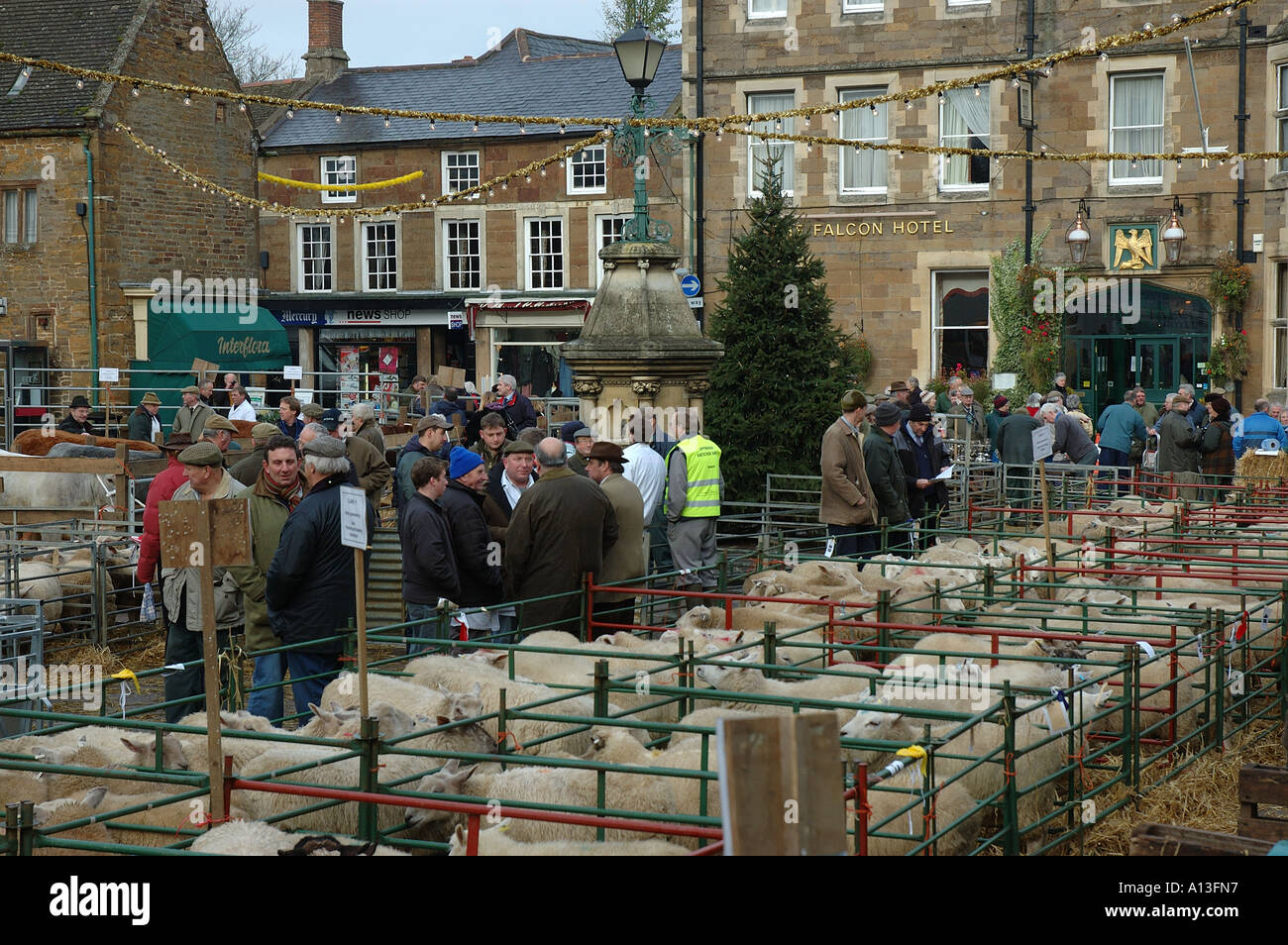 CHRISTMAS FATSTOCK MARKET IN UPPINGHAM, RUTLAND Stock Photo