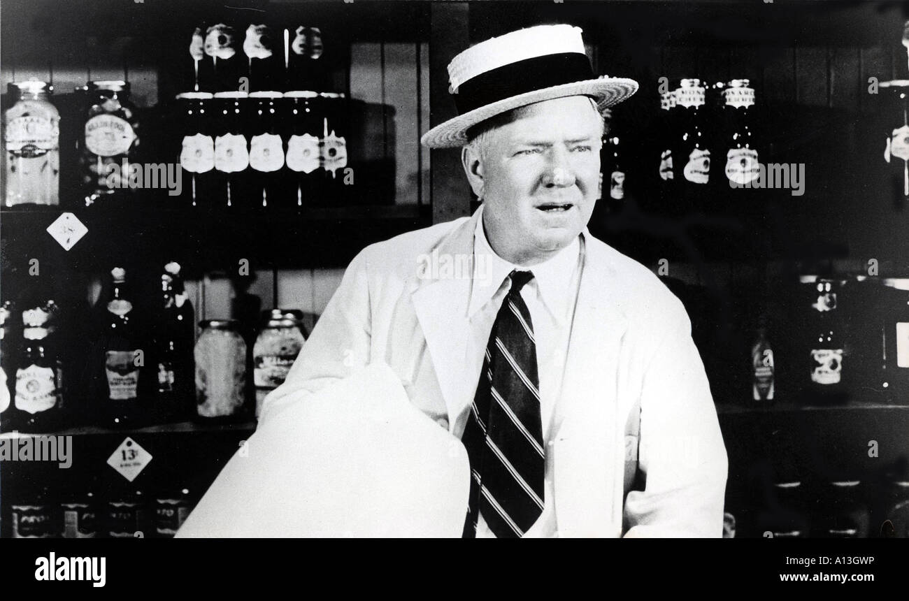 It s a Gift Year 1934 Director Norman McLeod W C Fields Stock Photo