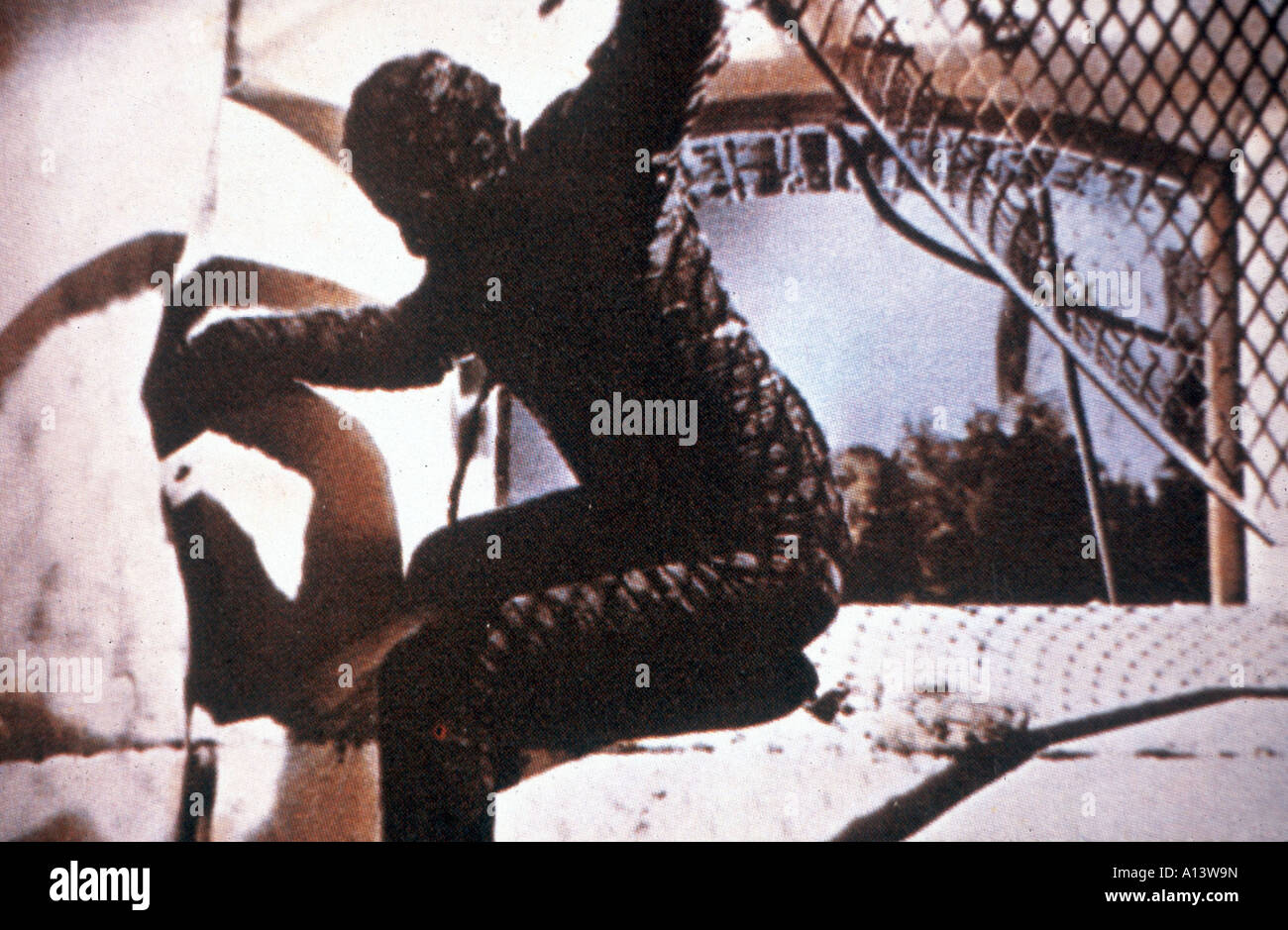 The mummy 1959 christopher lee hi-res stock photography and images - Alamy