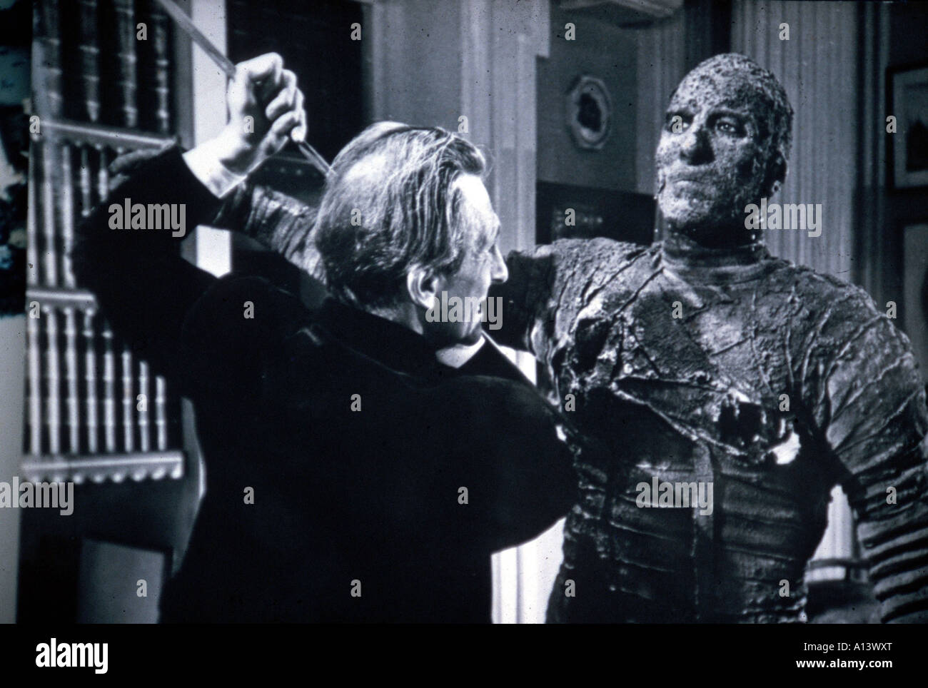 The Mummy Year 1959 Director Terence Fisher Christopher Lee Stock Photo