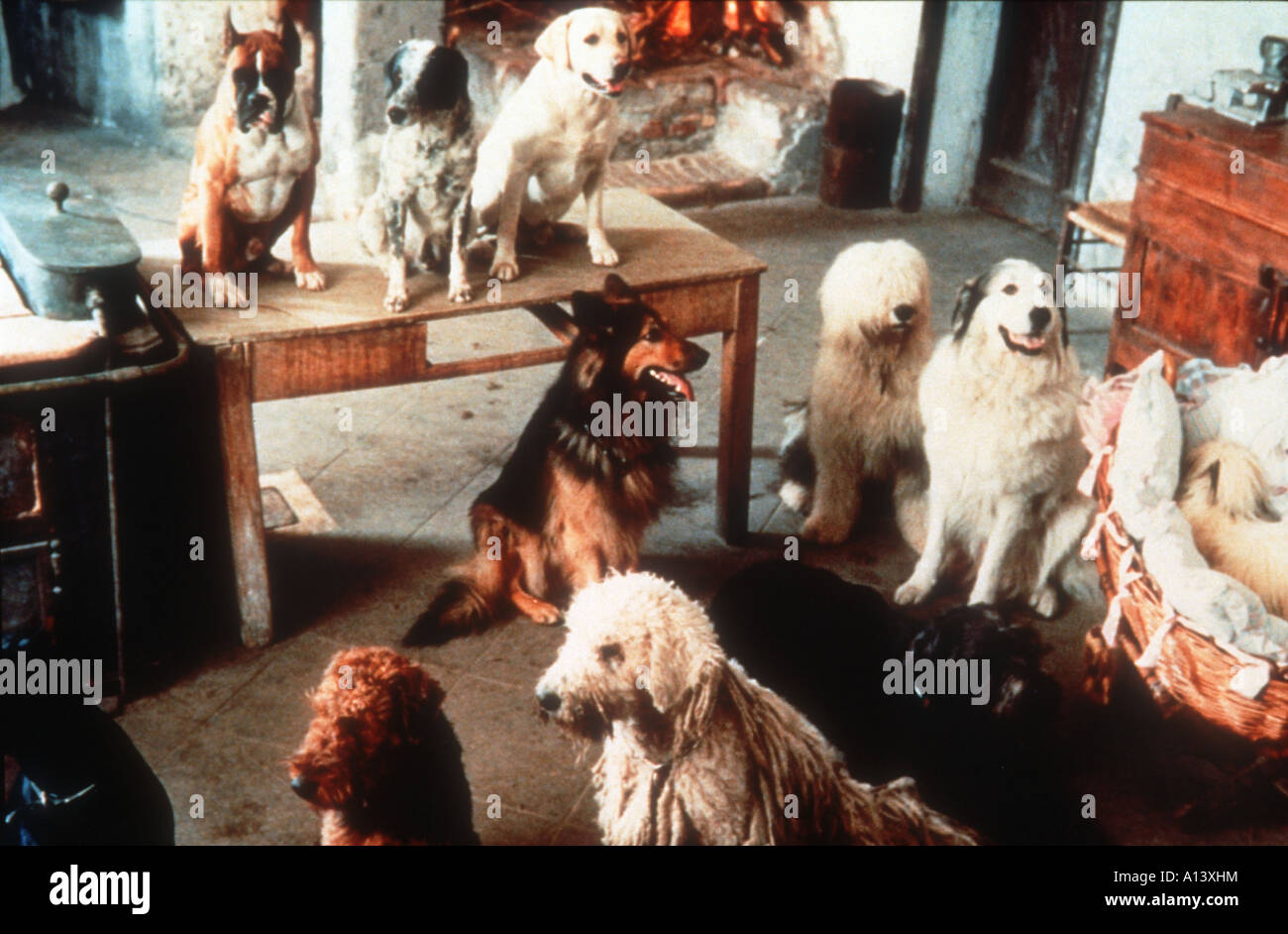 Cast Di C'era Un Castello Con 40 Cani
