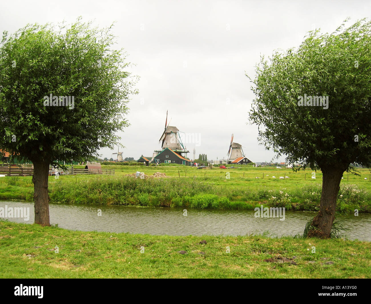 typically Dutch landscape with windmills Zaanse Schans Netherlands Stock Photo