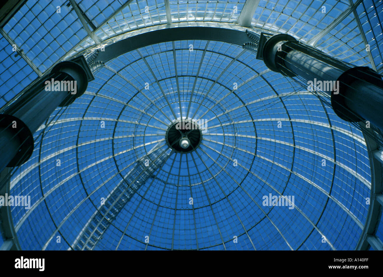 Glass Domed Roof of the Great Conservatory, Syon House, Brentford