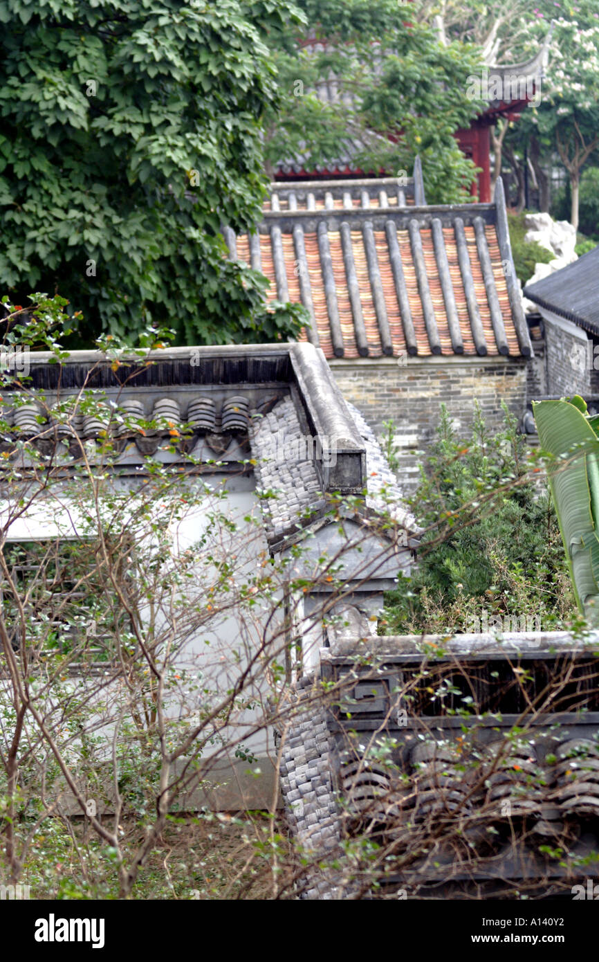 Kowloon Rooftops Kowloon Walled City Rooftops Rooftop Scenes, Kowloon Walled City, Hong