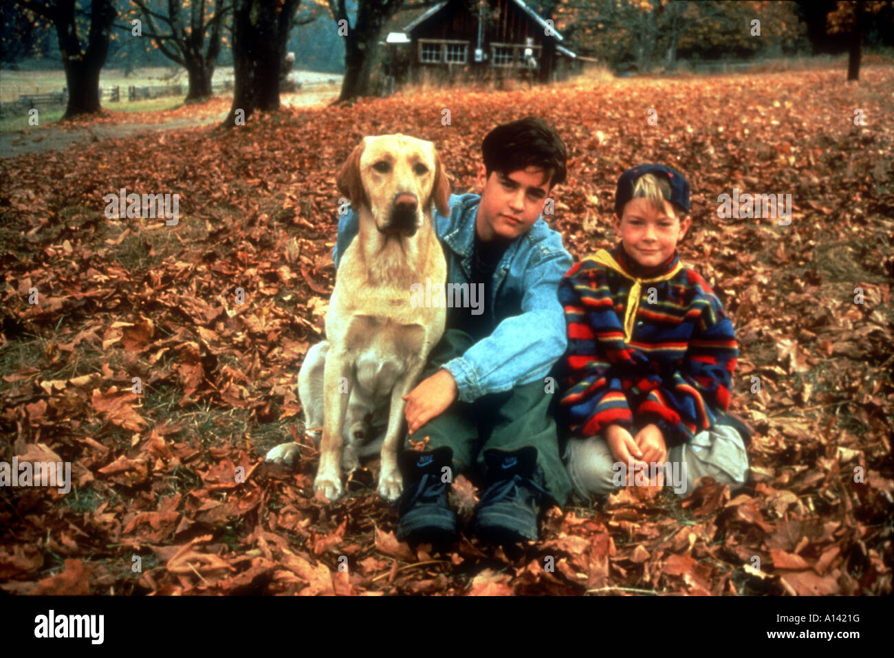 The Adventures of the Yellow Dog Far From Home Year 1995 Director Phillip Borsos Jesse Bradford Joel Palmer Stock Photo