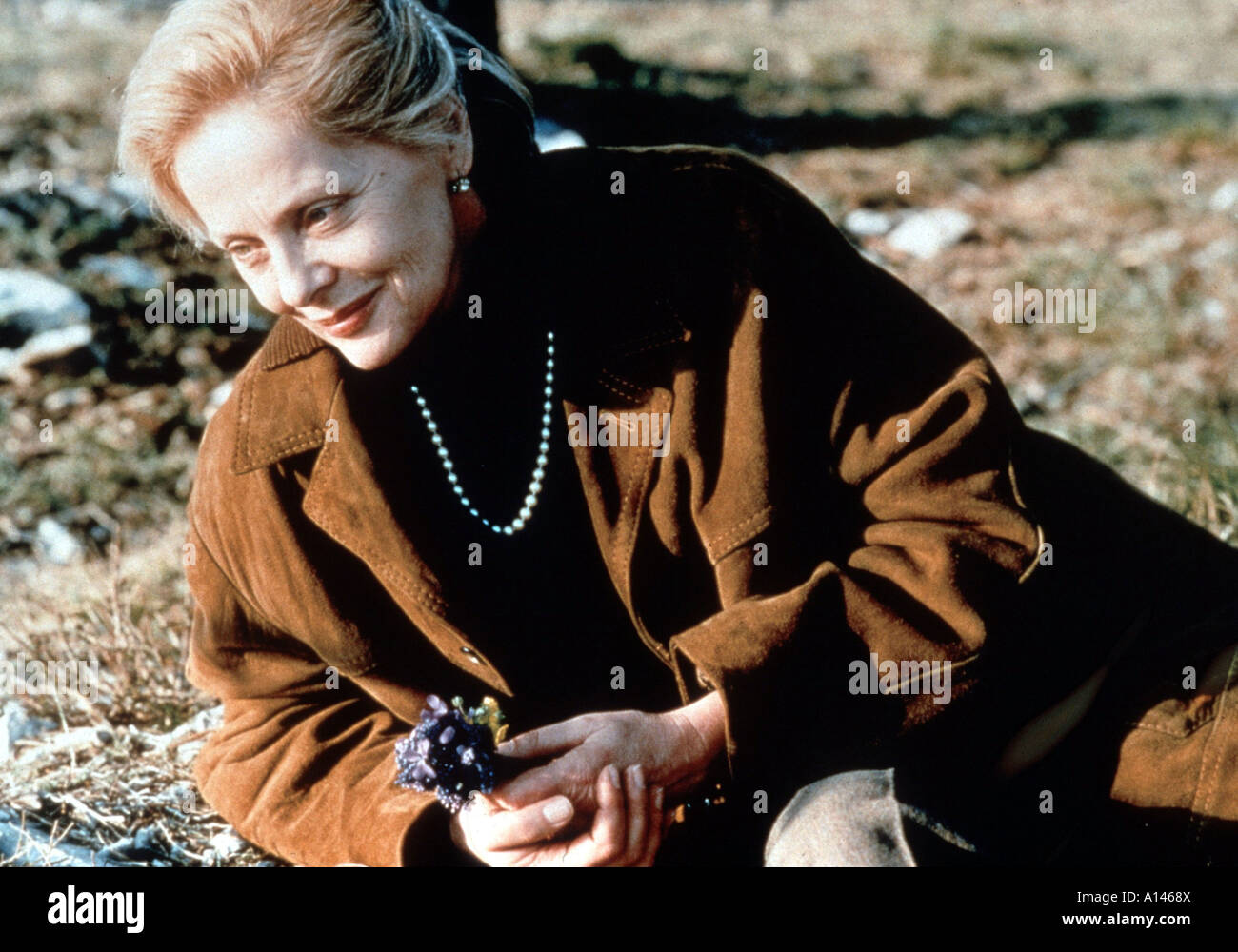 Va dove ti porta il cuore Year 1996 Director Cristina Comencini Virna Lisi  Stock Photo - Alamy
