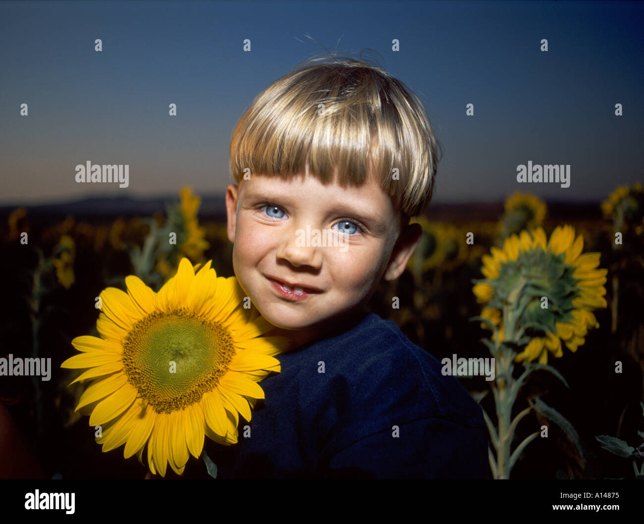 Child sky alone dusk hi-res stock photography and images - Alamy