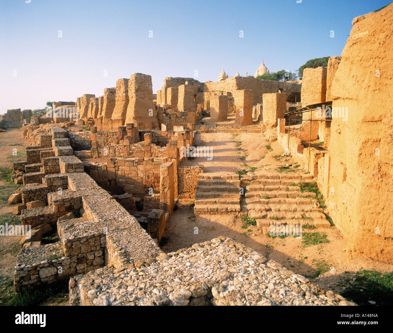 Rome and carthage war hi-res stock photography and images - Alamy