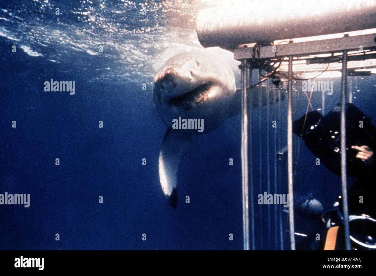 Jaws 1975 cinema hi-res stock photography and images - Alamy