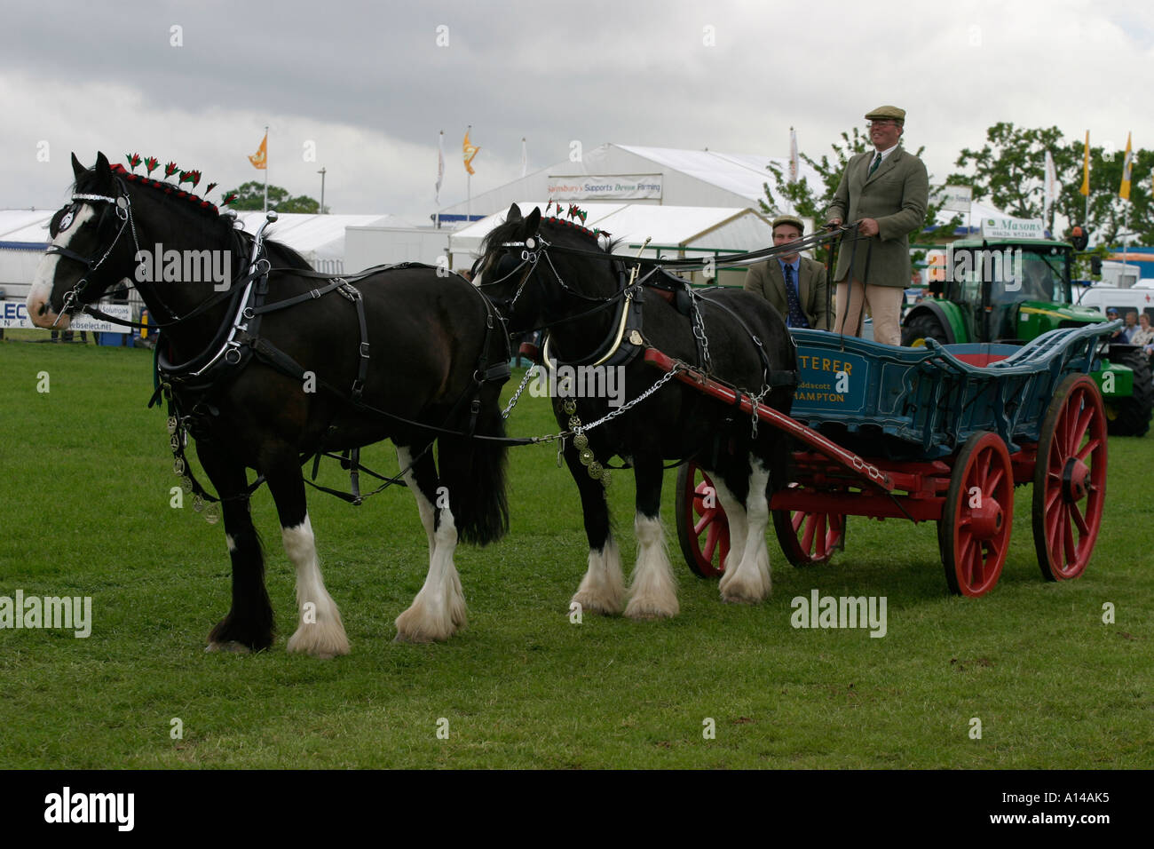 Heavy horses pulling carriage hires stock photography and images Alamy