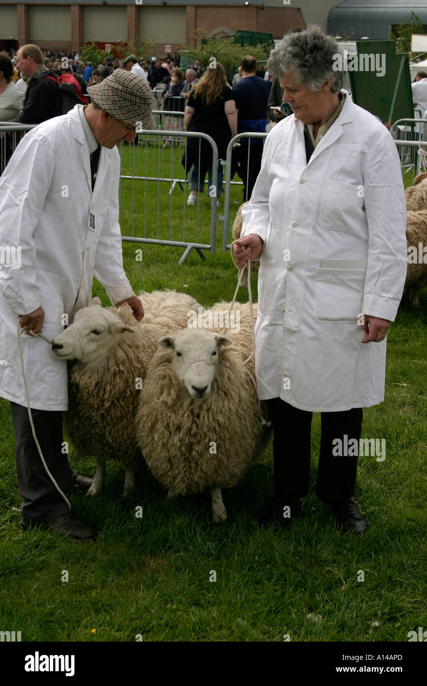 Shepherd uk farming devon hires stock photography and images Alamy