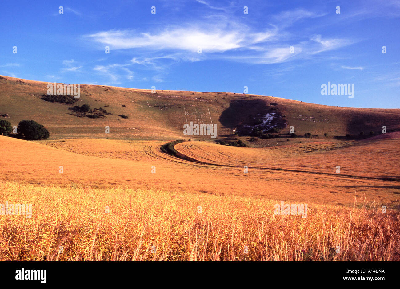 The Long Man Stock Photo - Alamy