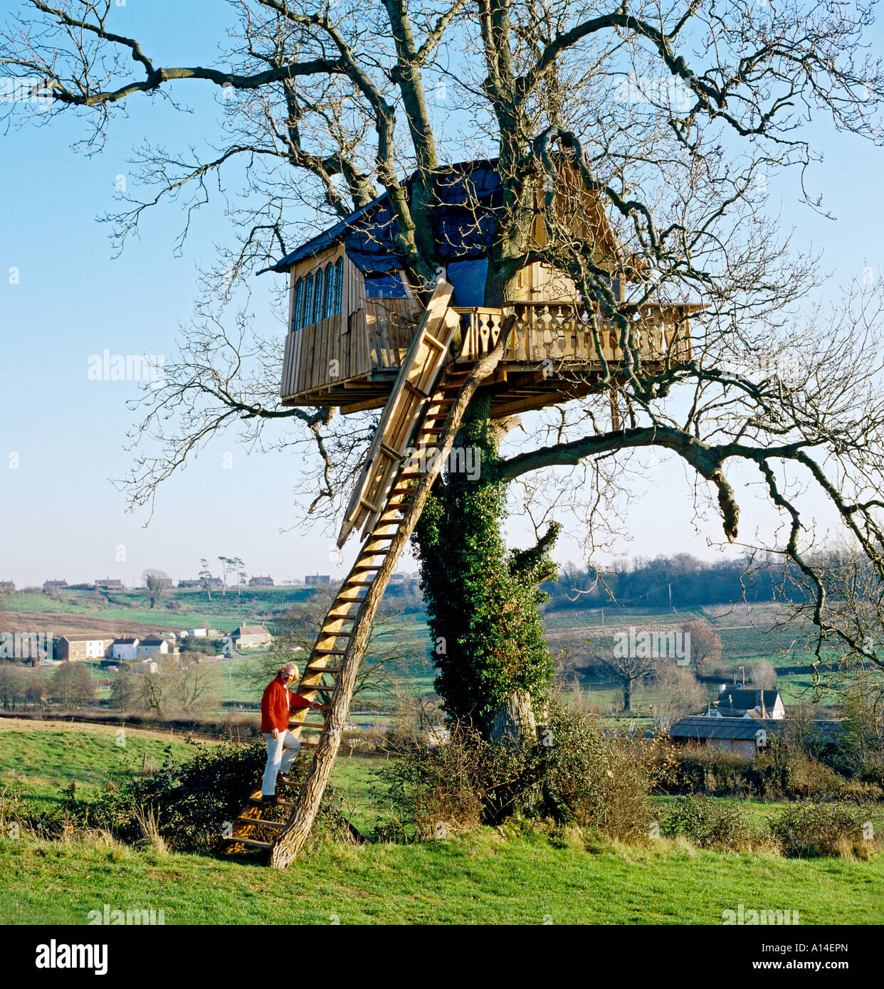 Unique tree house designed and built by Mark Wilkinson shown in red in