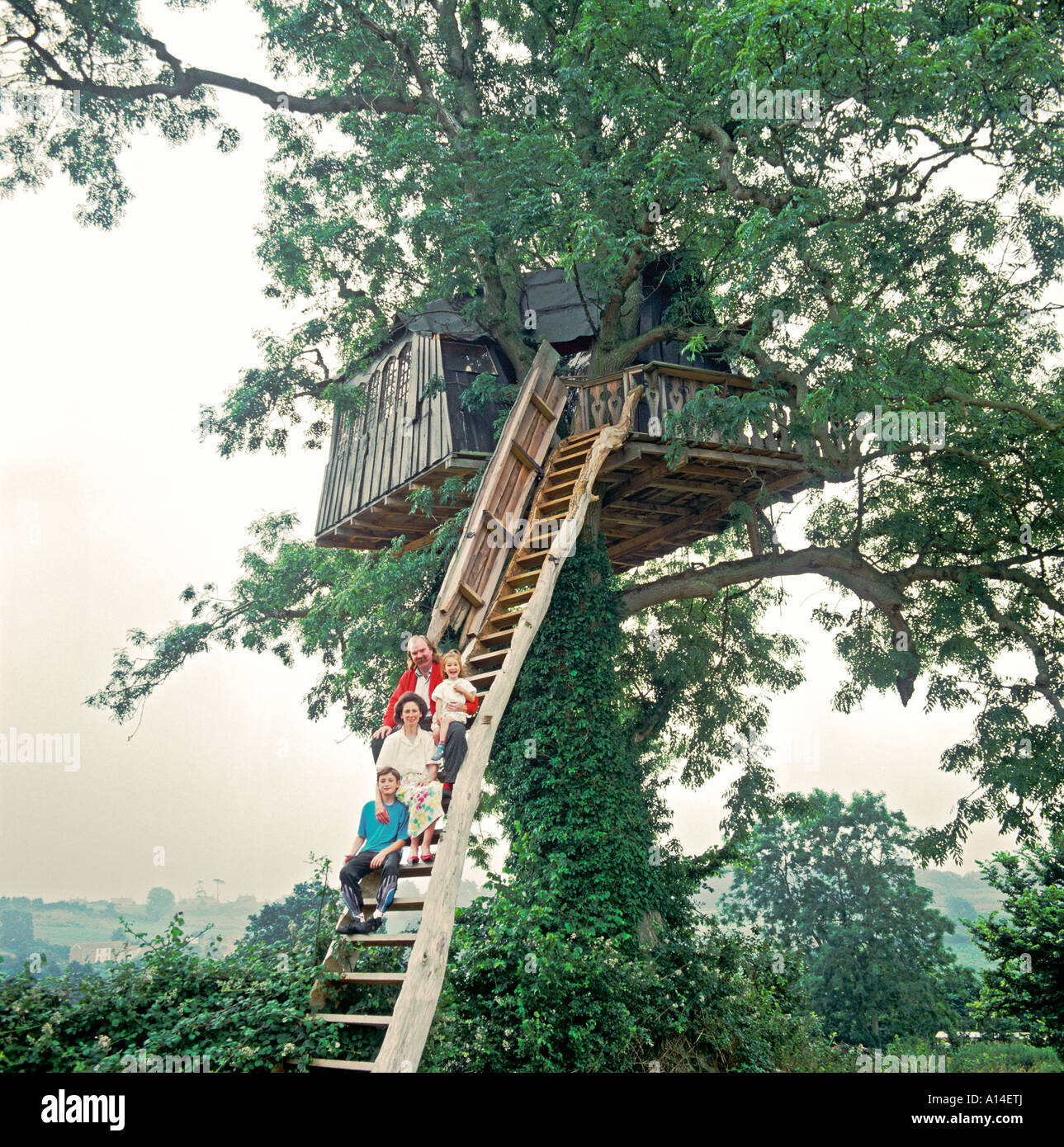 Unique tree house designed and built by successful "furniture maker ...