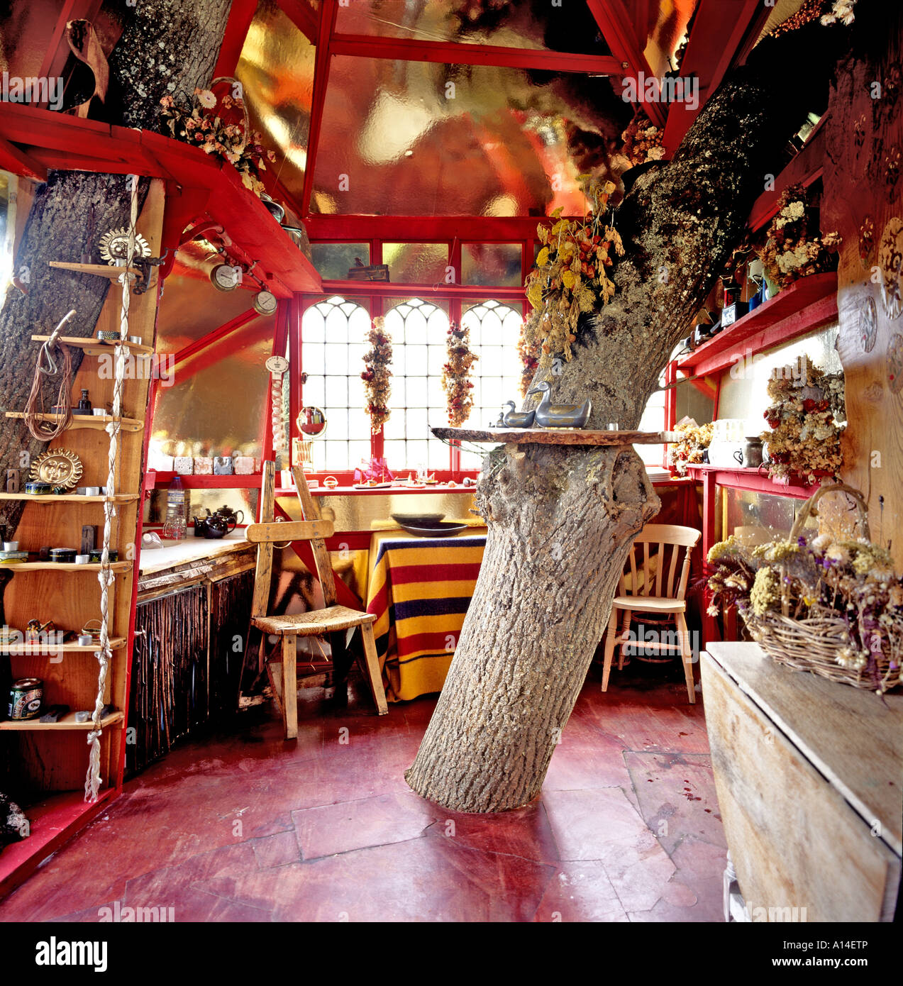 Interior of unique tree house designed and built by Mark Wilkinson in