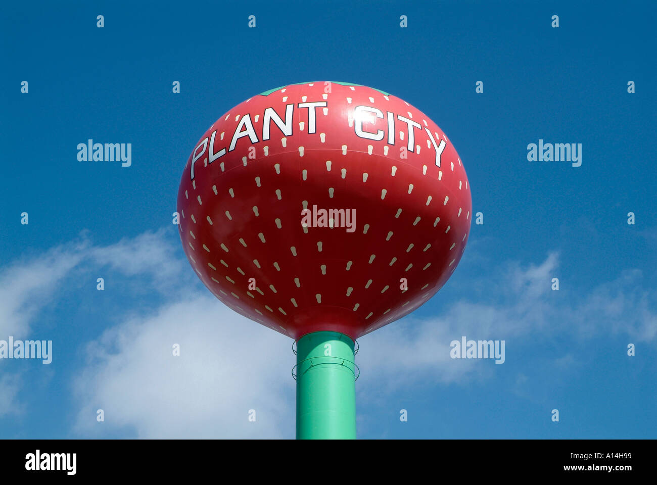 Plant City Florida water tower symbolizes the strawberry capital of Flower at Plant City Florida Stock Photo
