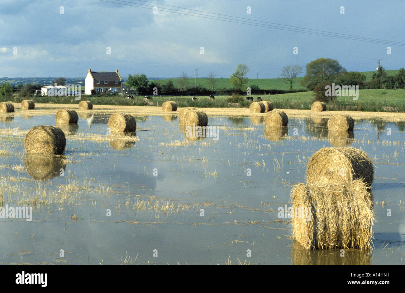 Flooded fields with hay bails on farmland on the Somerset Levels  Somerset Stock Photo