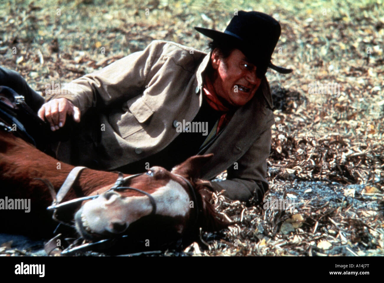 True grit 1969 Henry Hathaway John Wayne Stock Photo