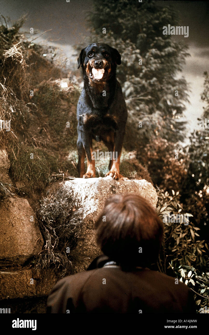 The hound of the Baskerville 1959 Terence Fisher Stock Photo - Alamy