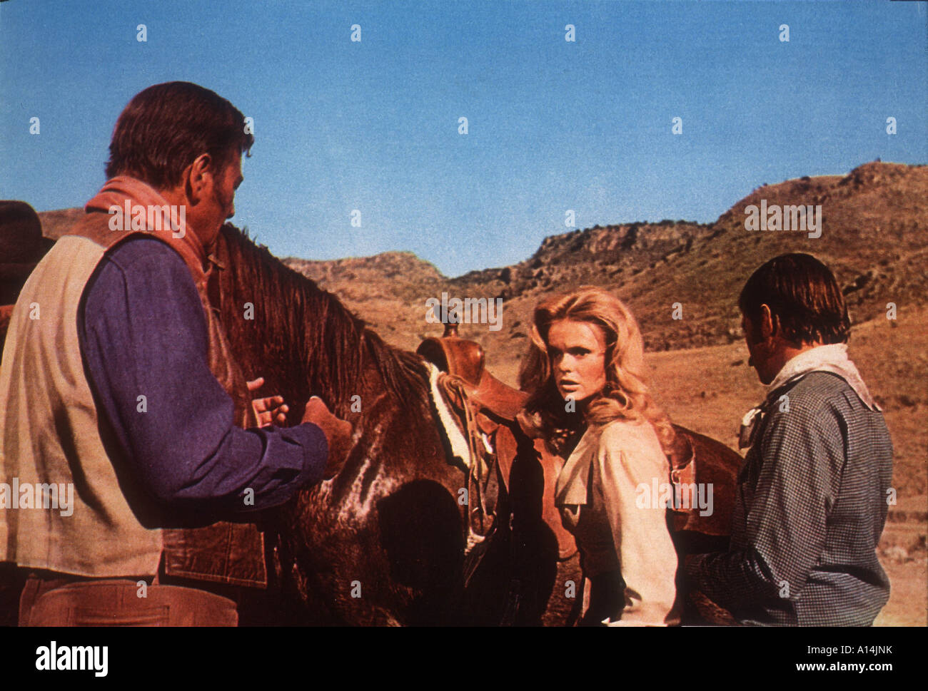 Pamela mcmyler hires stock photography and images Alamy