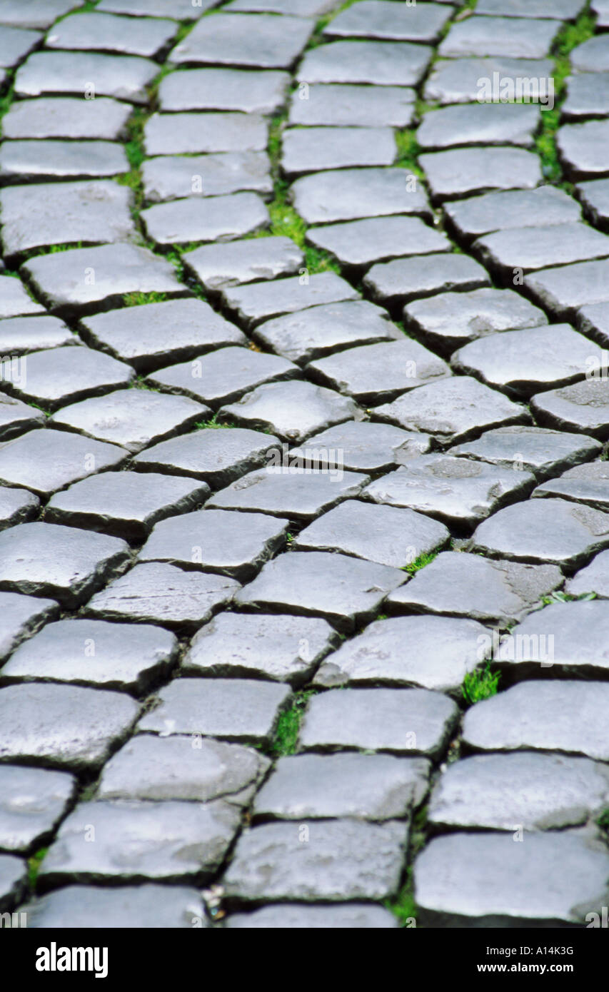 Closeup of cobblestones in a piazza Rome Italy Stock Photo