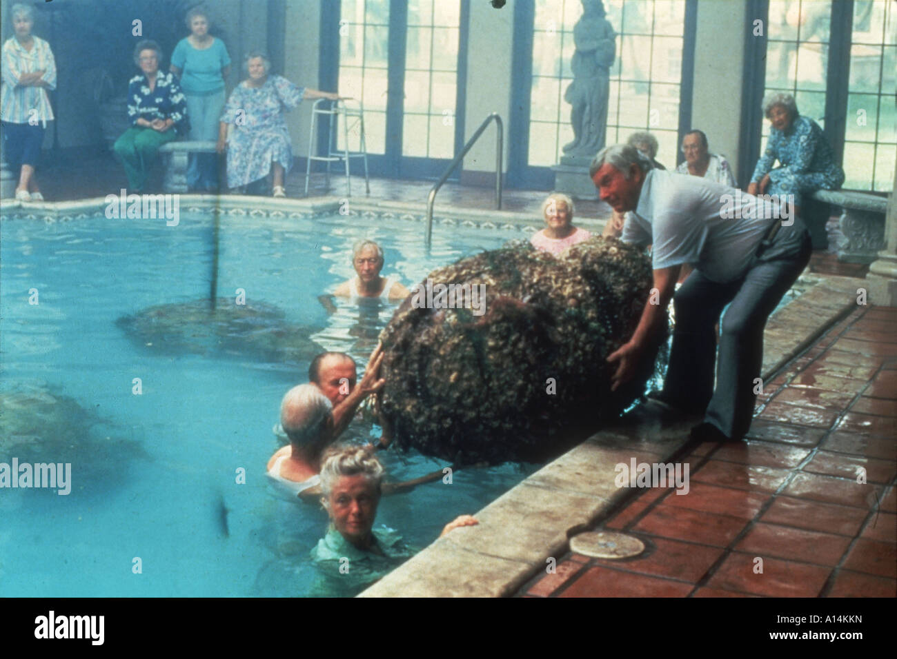 Cocoon 1985 Ron Howard Stock Photo Alamy