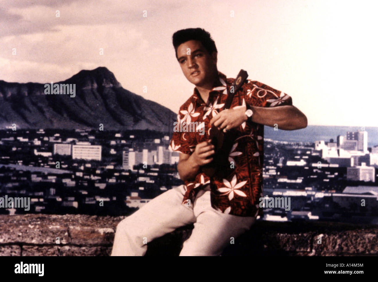 Blue Hawaii Year 1961 Director Norman Taurog Elvis Presley Stock Photo