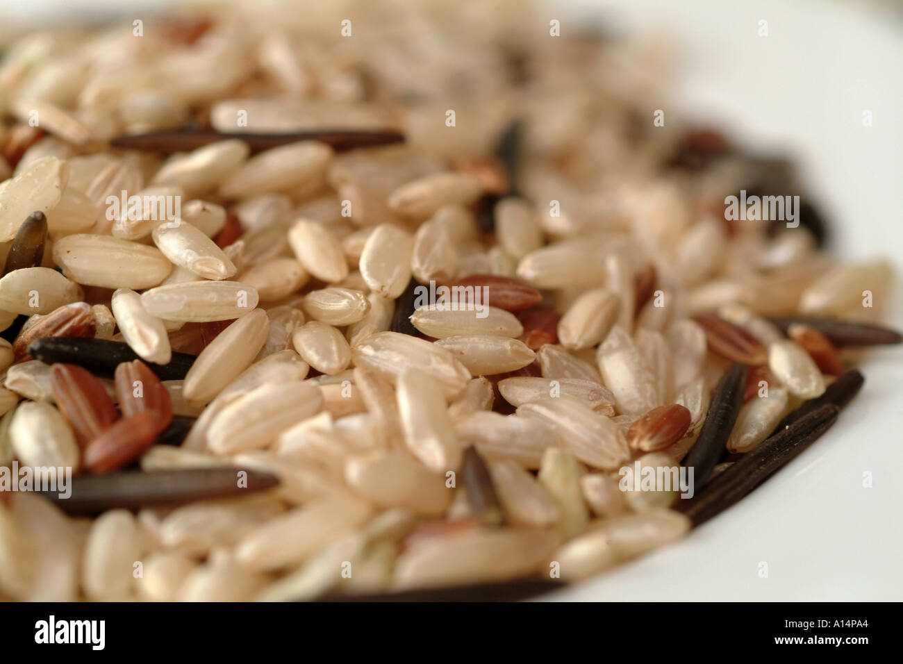 rice naturerice red rice sundries Stock Photo - Alamy