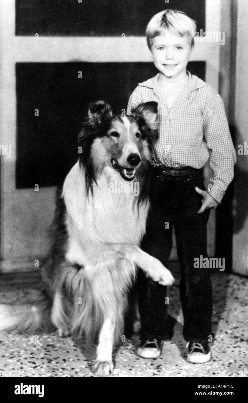 Jon provost lassie Black and White Stock Photos & Images Alamy