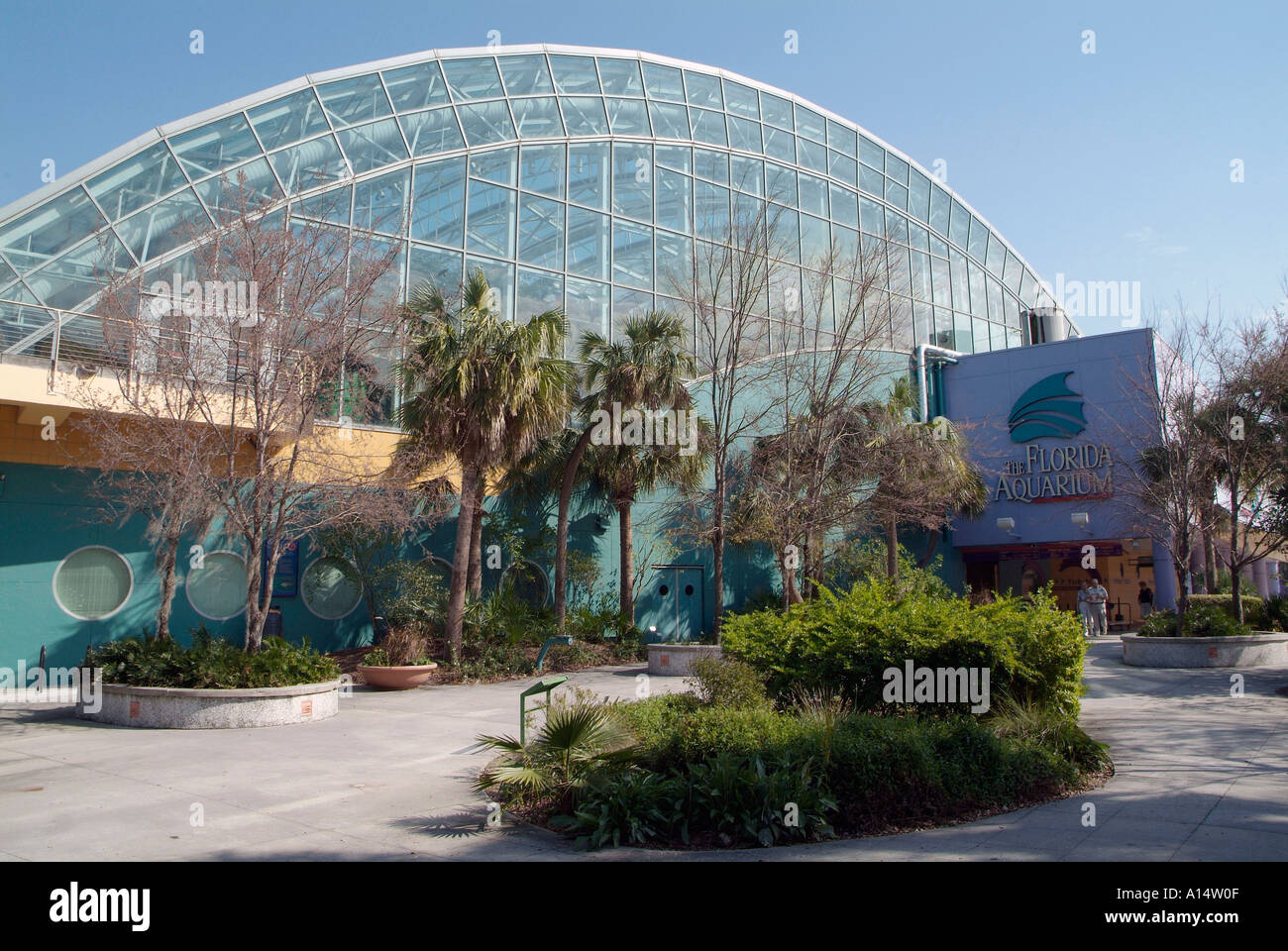 Visitors see and experience underwater sea life at The Florida Aquarium