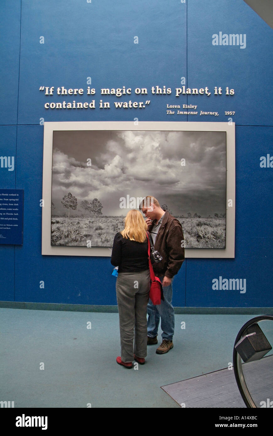 Visitors see and experience underwater sea life at The Florida Aquarium
