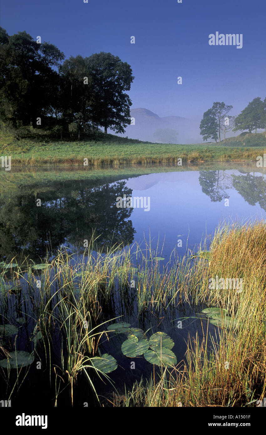 Elterwater Langdale Lakes District Cumbria UK Stock Photo Alamy