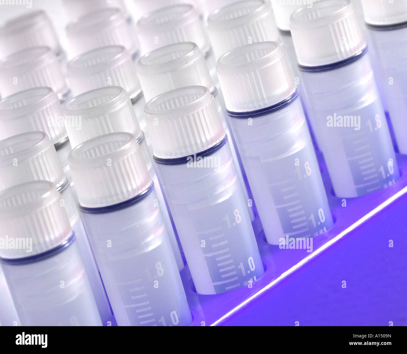 Test Tubes In Lab Laboratory Research And Development USA Stock Photo