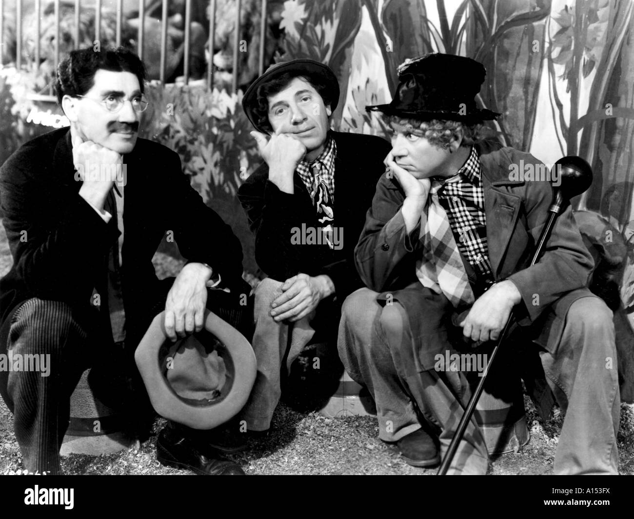 At The Circus Year 1939 Director Edward Buzzell Groucho Marx Chico Marx ...