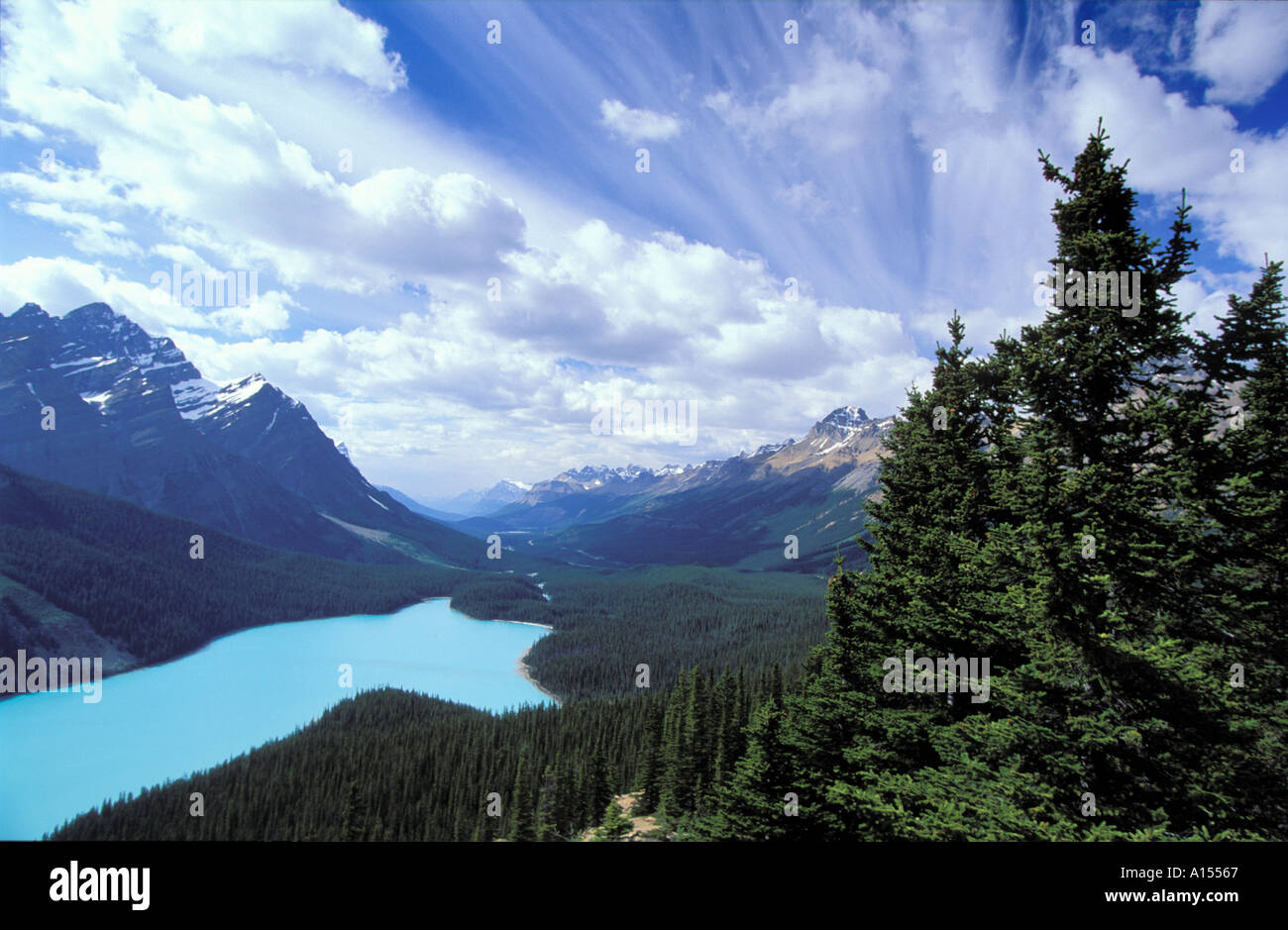 Peyto Lake Banff National Park Alberta Canada Stock Photo - Alamy
