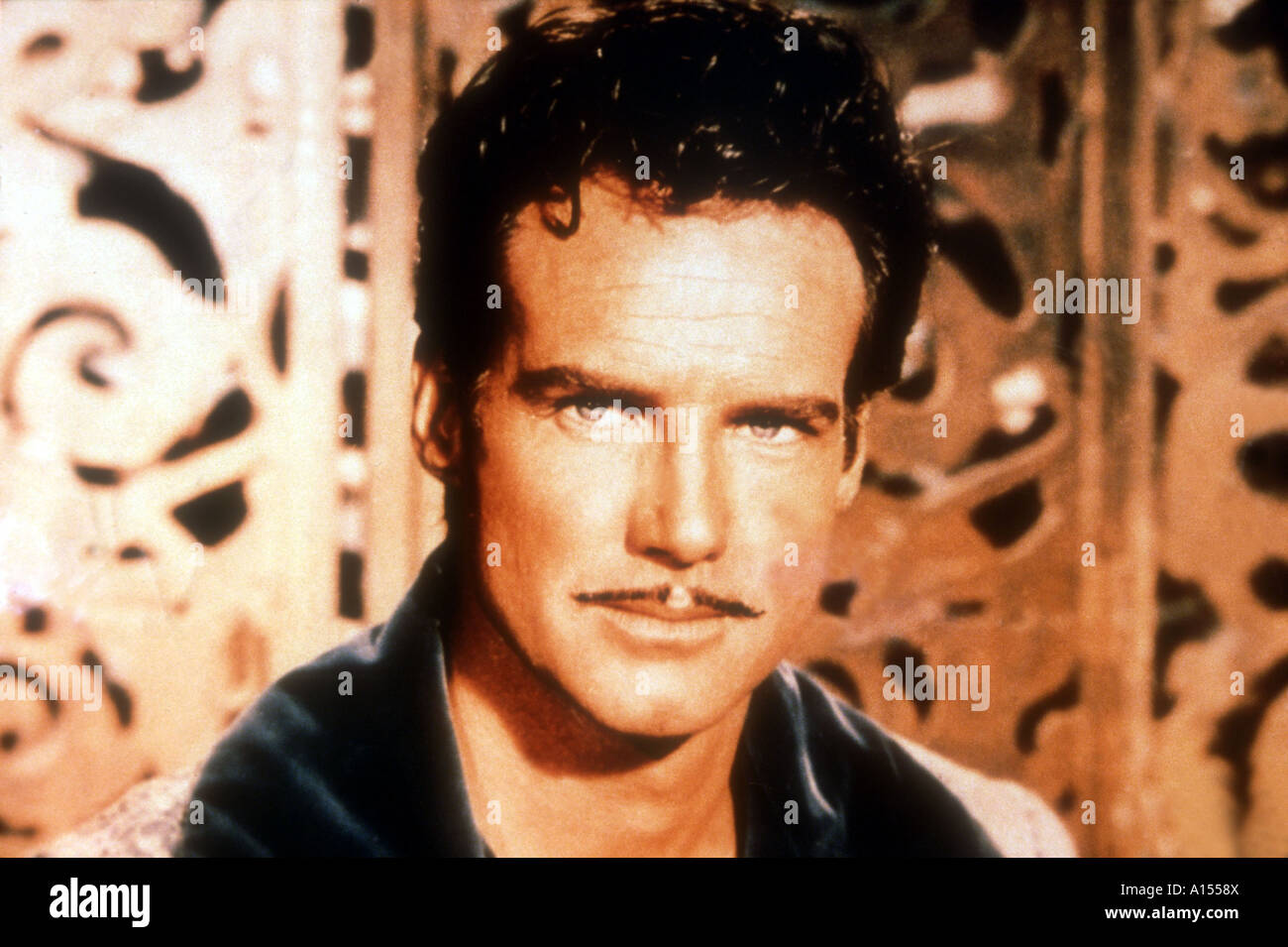 Steve Reeves Facebook, Instagram, Twitter [Profiles]