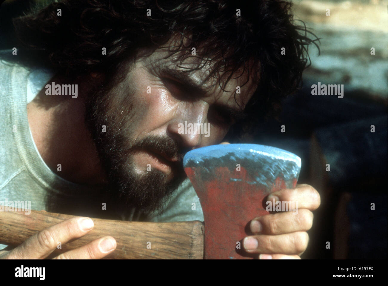 The Amityville Horror Year 1979 Director Stuart Rosenberg James Brolin  Stock Photo - Alamy, image size:1300x958