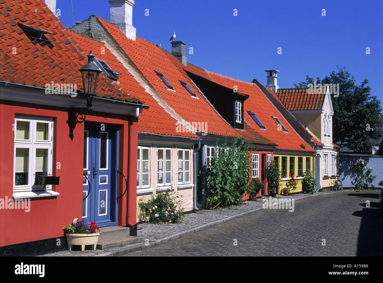 Typical painted housing with tiled roofs Aeroskobing village Aero