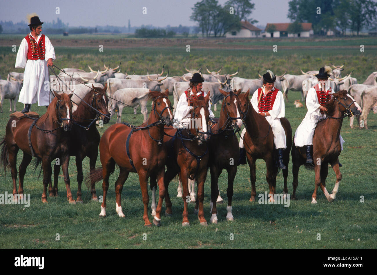 Men in traditional dress riding horses at Bugoc Puszra Hungary A Woolfitt Stock Photo
