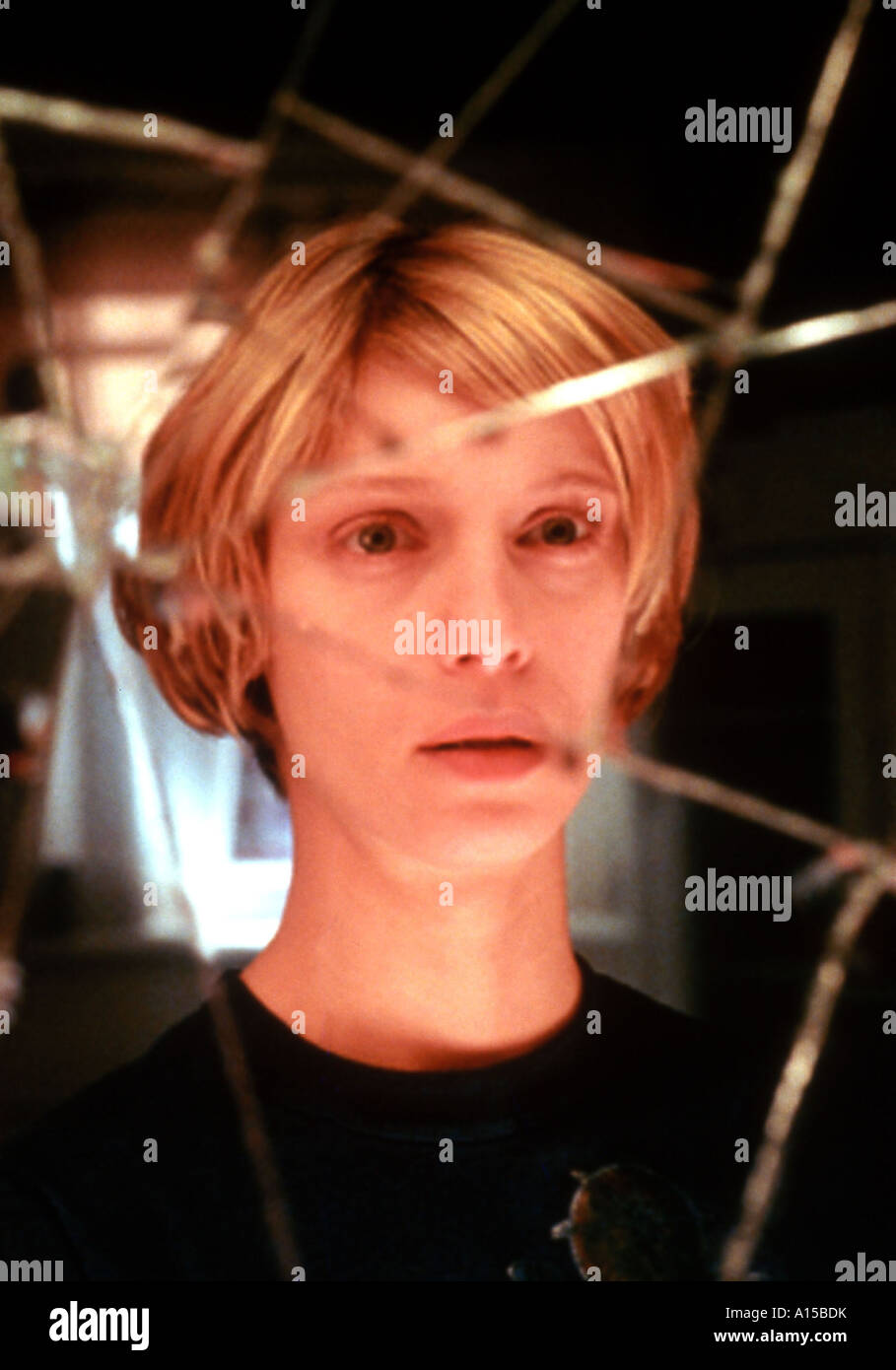 Laura regan hi-res stock photography and images - Alamy