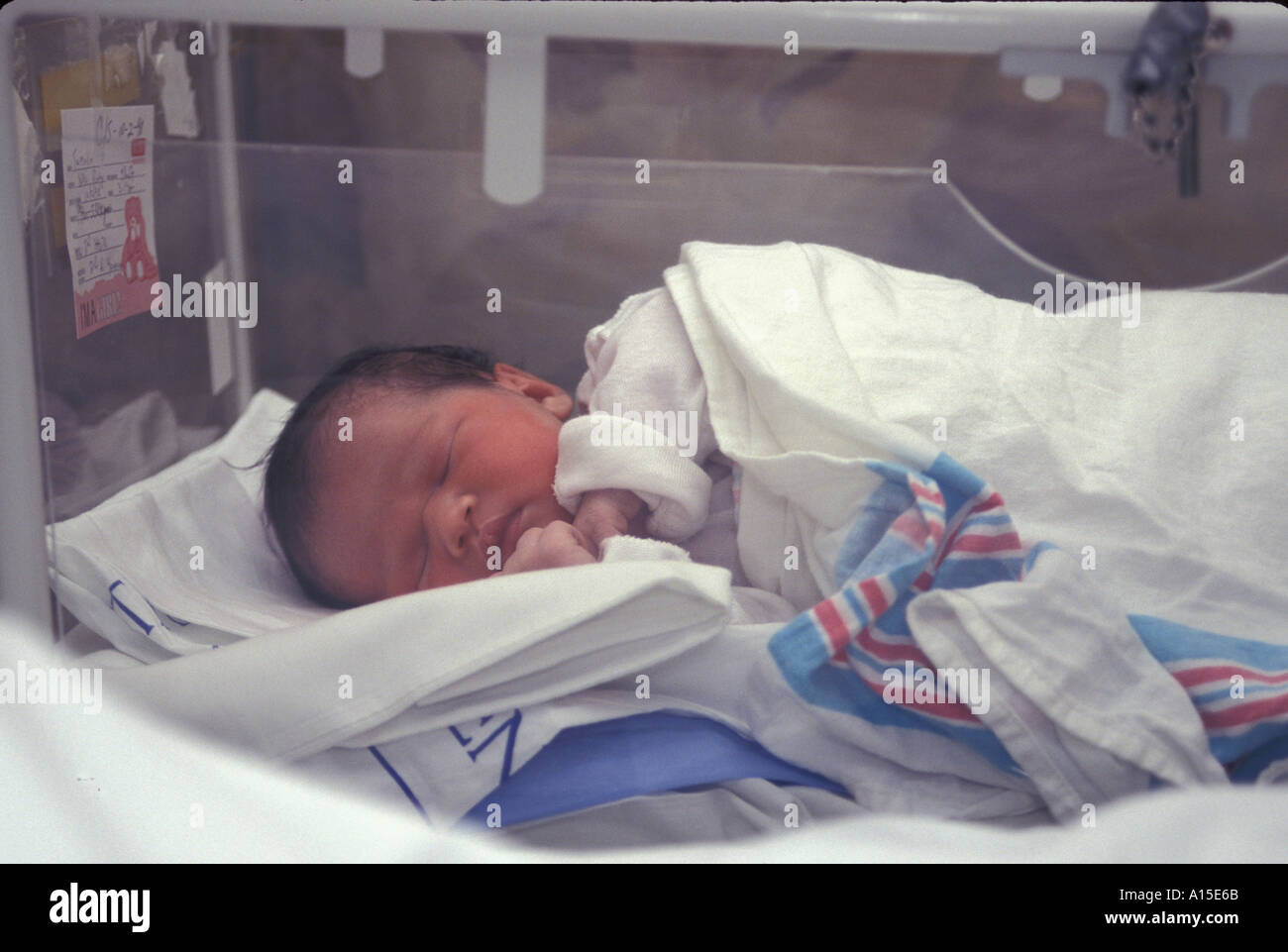 Eurasian Infant Female Newborn 12 Hours Stock Photo Alamy