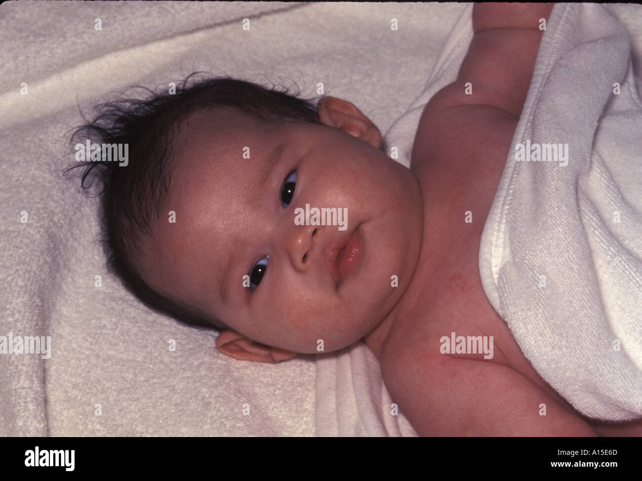 Eurasian Infant Female 2 Months Stock Photo Alamy