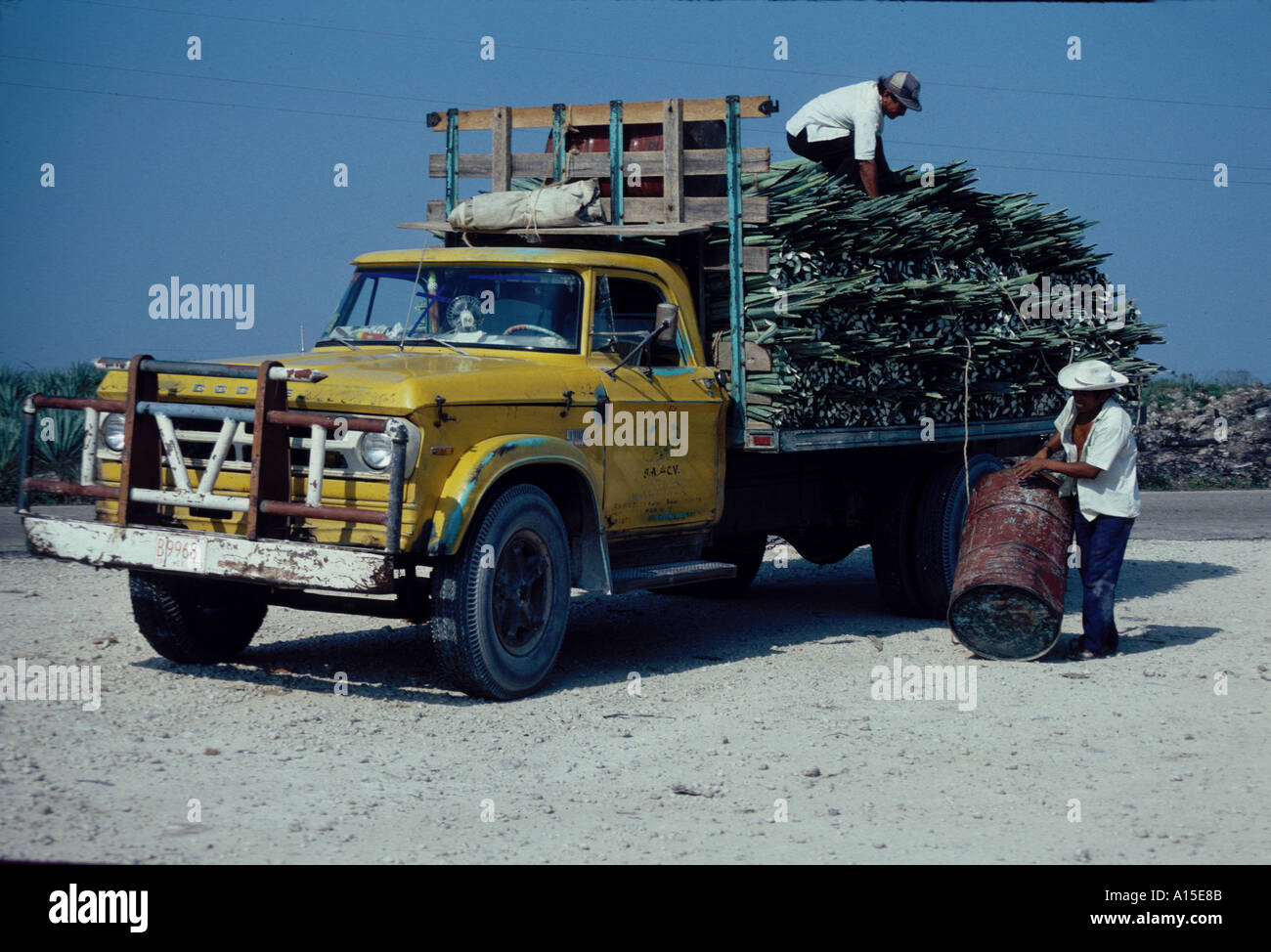 TRUCK CARRYING SISAL AGAVE FOR TEQUILA YUCATAN MEXICO Stock Photo - Alamy