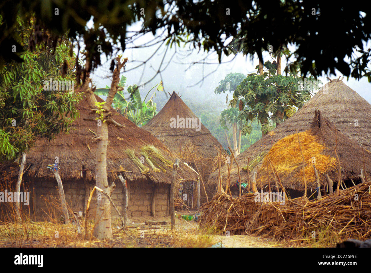 Most people live in thatched roof mud huts in the Muslim Fulani village of Dembel Jumpora located in the eastern region of the Stock Photo