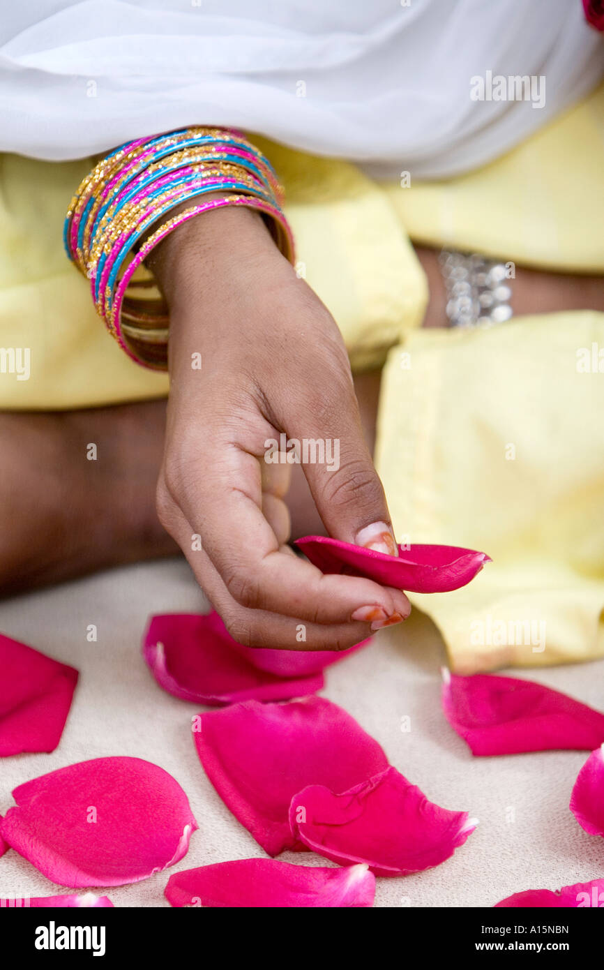 Indian girls hand picking red rose petals. India Stock Photo