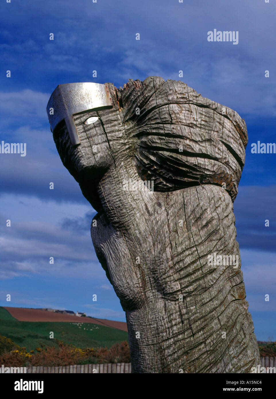 dh CROVIE ABERDEENSHIRE Wooden sculpture modern carving wood artwork art outdoors uk Scotland carvings Stock Photo